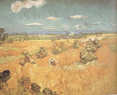 Vincent Van Gogh Wheat Stacks wtih Reaper (nn04) Germany oil painting art